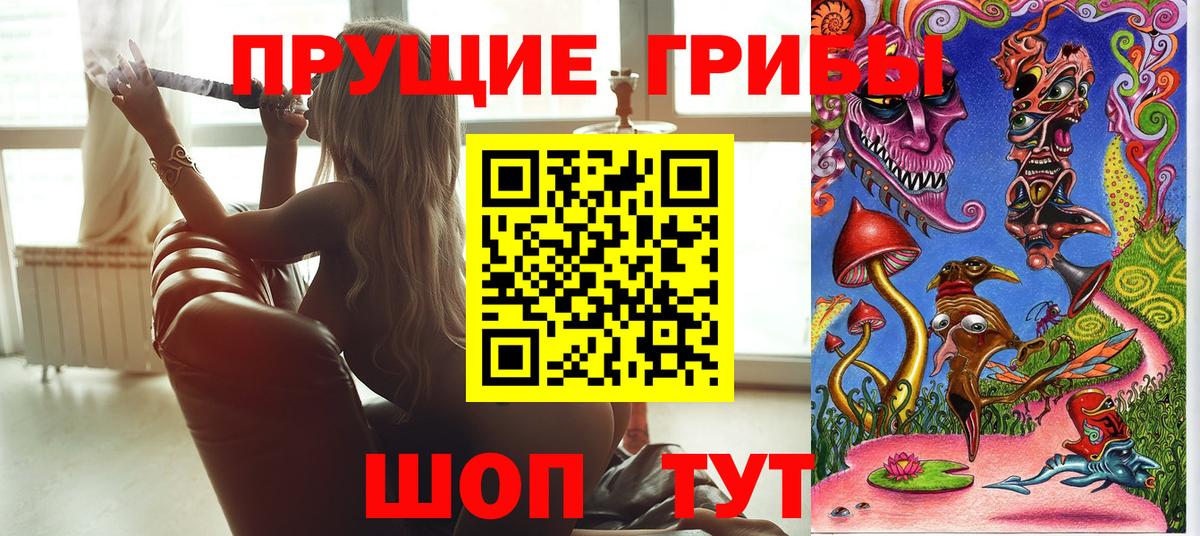 Псилоцибиновые грибы мицелий Отрадное