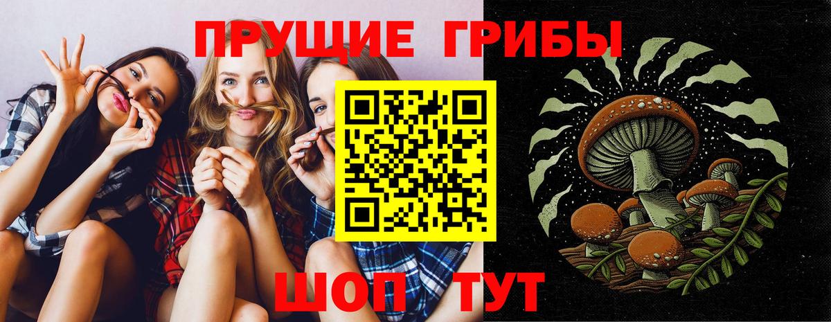 купить закладку  Галлюциногенные грибы прущие грибы  Отрадное  Вход с VPN  Псилоцибиновые грибы Psilocybine cubensis 