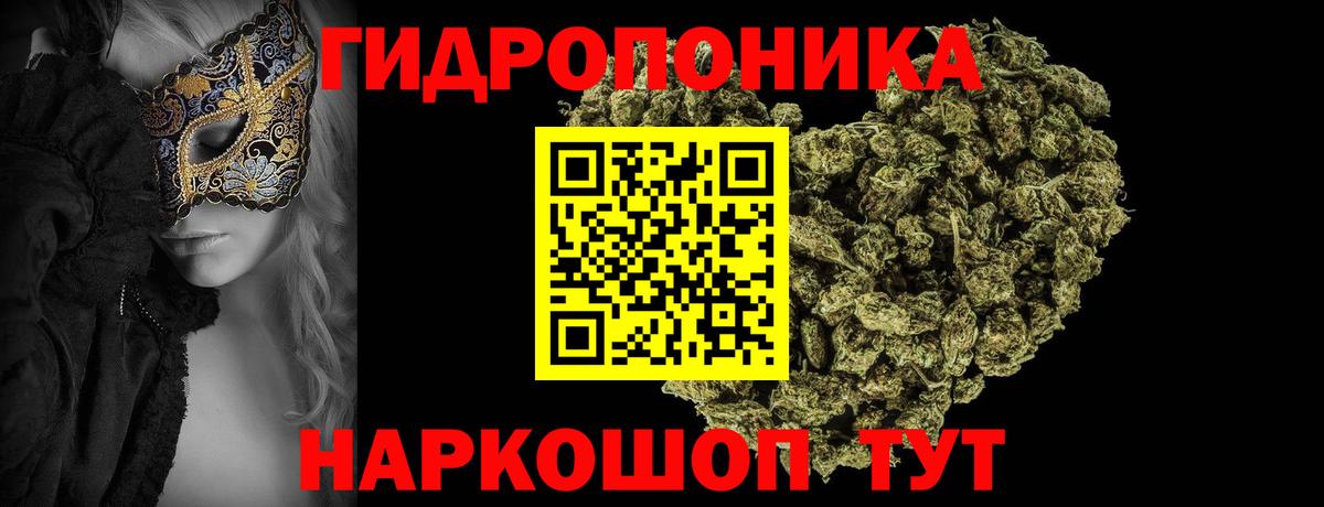 Марихуана конопля Отрадное